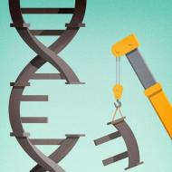 Какво е генетичен код: обща информация