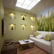 Зеленая гостиная — фото дизайна и обзор